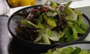Artisinal Salad